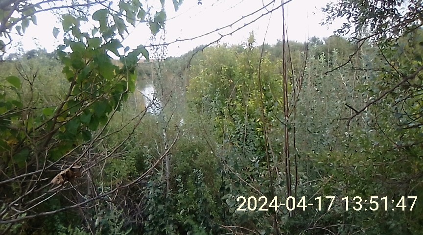  Bedroom Property for Sale in Koppies Rural Free State